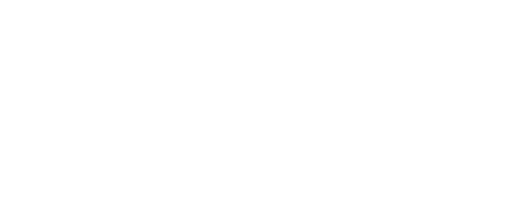 Foundation Logo White